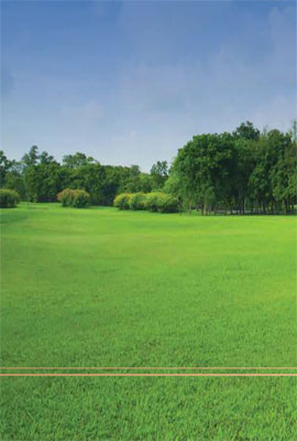 Godrej Forest Estate Photos